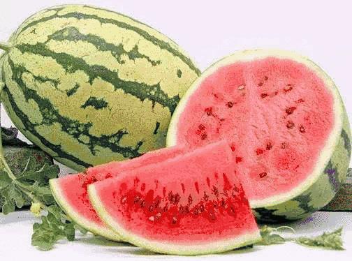 探寻神秘西夏之韵，宁夏魅力之旅揭秘